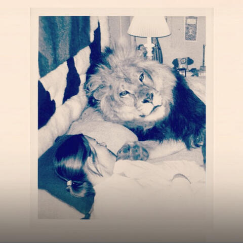 Melanie Griffith y los leones Melanie Griffith y los leones