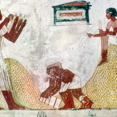 ¿Dónde surgió la escritura? ¿Dónde surgió la escritura?