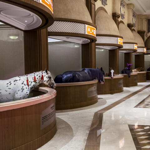 La última extravagancia china La última extravagancia china