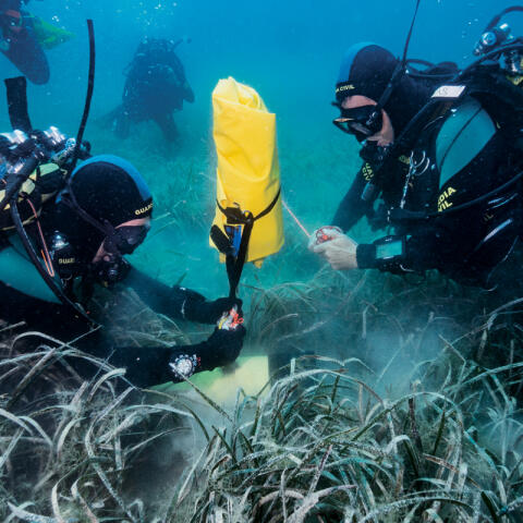 Los casos más sonados de los GEAS Los casos más sonados de los GEAS