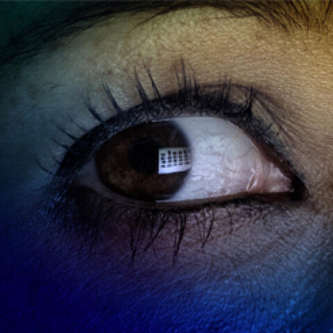 La única mujer que caza pederastas La única mujer que caza pederastas