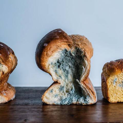 El milagro de la fermentación El milagro de la fermentación