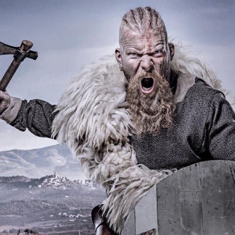 Los 'berserker', la élite vikinga, al desnudo Los 'berserker', la élite vikinga, al desnudo