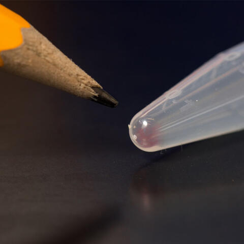 El ADN será el próximo disco duro de su ordenador El ADN será el próximo disco duro de su ordenador