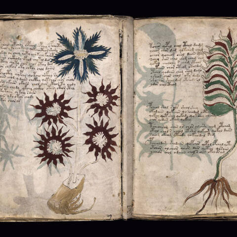 Lo que sí sabemos del manuscrito Voynich Lo que sí sabemos del manuscrito Voynich