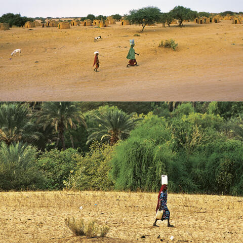 Un muro verde para frenar la desertizacion en África Un muro verde para frenar la desertizacion en África
