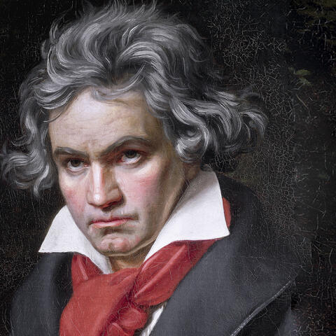 Descomponiendo a Beethoven (hasta su último pelo) Descomponiendo a Beethoven (hasta su último pelo)