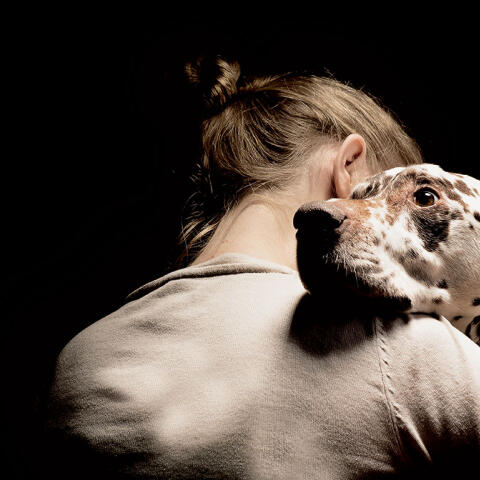 Estrés y soledad: arrasa la venta de mascotas por la pandemia Estrés y soledad: arrasa la venta de mascotas por la pandemia